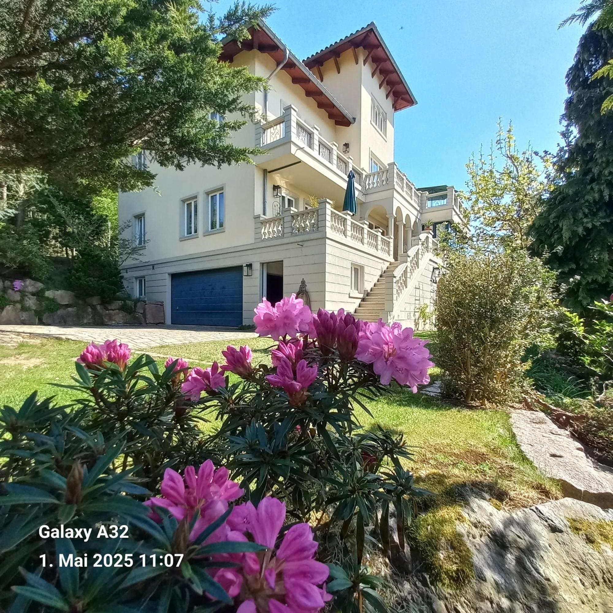 Ferienwohnung Dennstedt Wilkau-Hasslau Exteriér fotografie